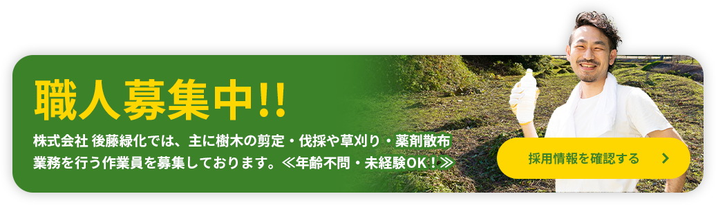 職人募集中!!株式会社 後藤緑化では、主に樹木の剪定・伐採や除草・草刈り業務を行う作業員を募集しております。≪年齢不問・未経験者歓迎！≫ 