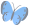 蝶